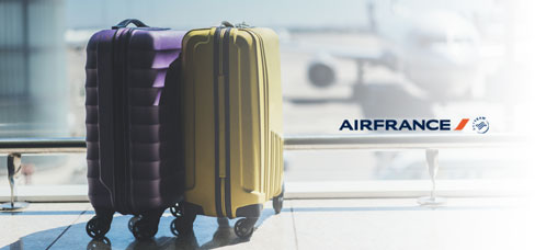 JMR CHARIOT A Bagages Air France Vendu Seul EUR 60,00 - FR